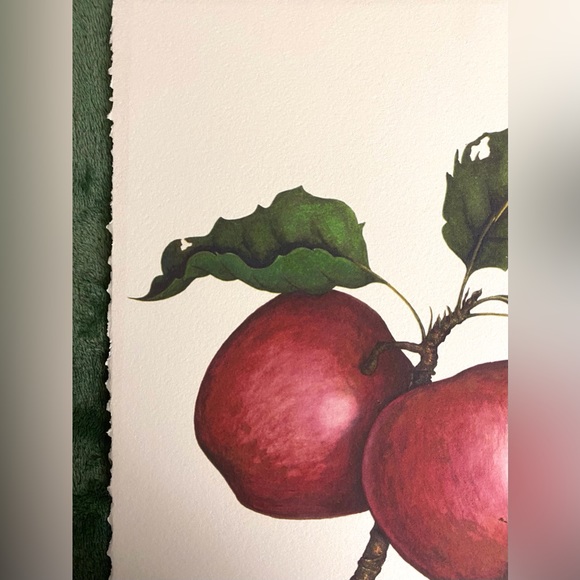 JONALICIOUS APPLE fine art print - Picture 6 of 6